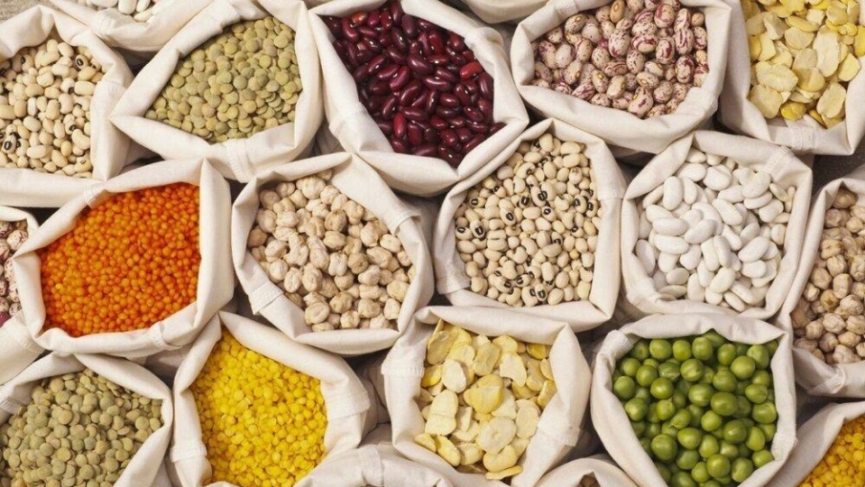 چرا لوبیا چیتی این قدر گران شده است؟