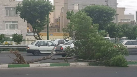 توفان شب گذشته ۶ مصدوم داشت