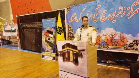 زائران از همراه آوردن ریشه شیرین بیان و استامینوفن کدئین خودداری کنند