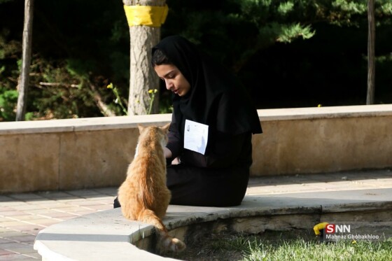 عکاس: مهناز قباخلو