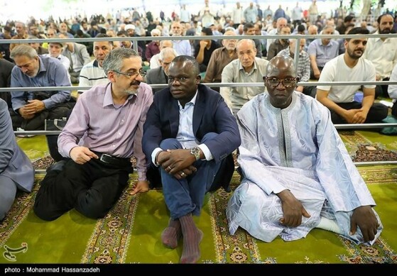 عکاس: محمد حسن‌زاده