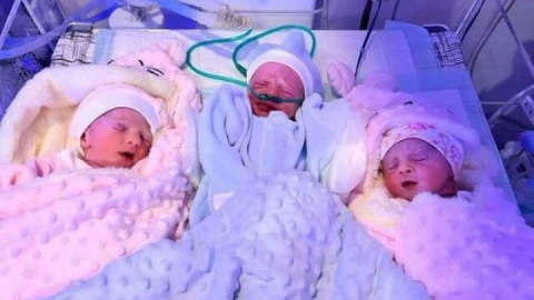 ثبت ۳۸ هزار واقعه ولادت چند قلوزایی در سال ۱۴۰۳