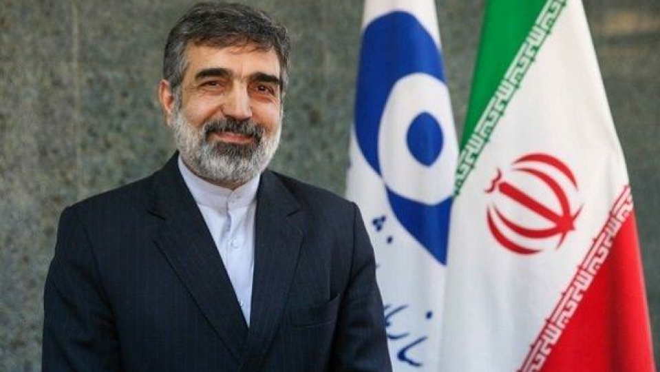 ایران تنها کشوری نیست که غنیسازی دارد و در عین حال سلاح هستهای ندارد
