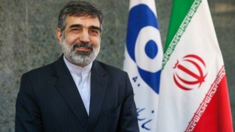 ایران تنها کشوری نیست که غنی‌سازی دارد و در عین حال سلاح هسته‌ای ندارد