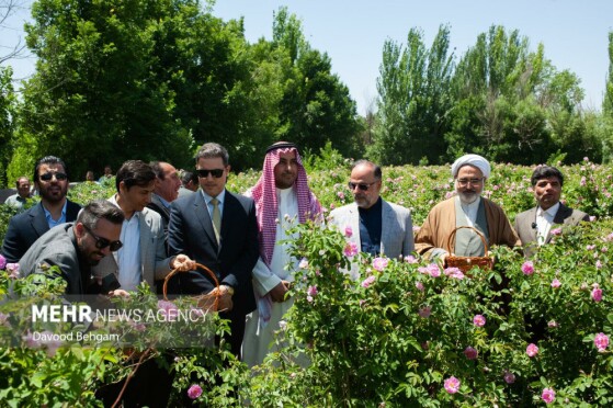 عکاس: داوود بهگام
