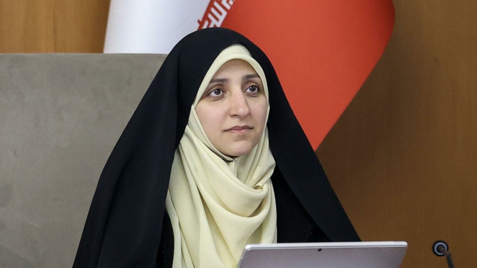 سرمایه اجتماعی و عاطفی، عنصر کلیدی موفقیت مشاغل خانگی است