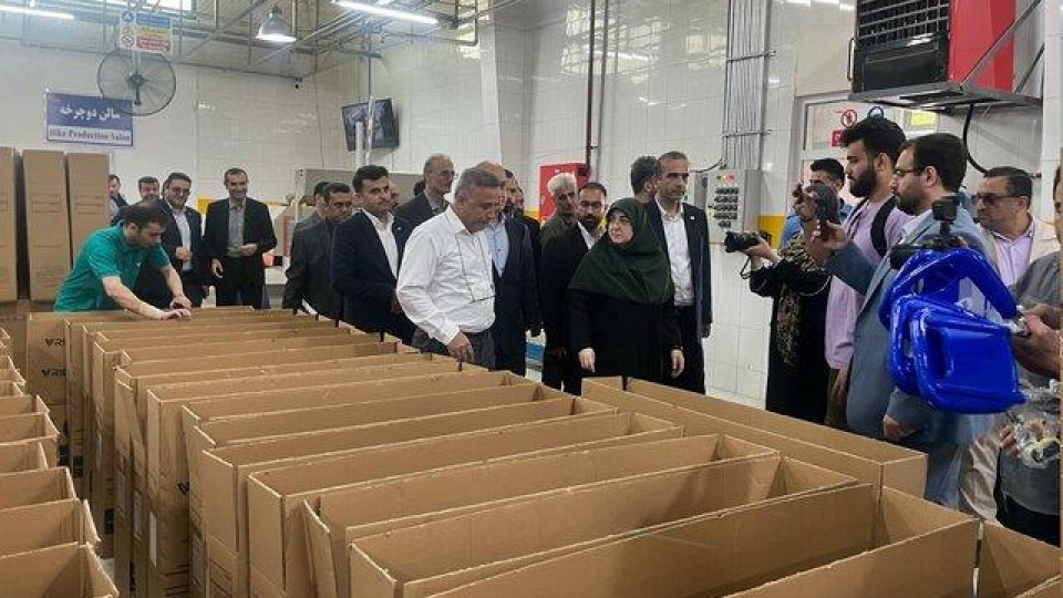 بازدید سخنگوی دولت از ۲ مجتمع تولیدی در بندرانزلی