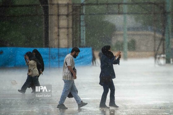 هشتمین روز از سی و ششمین نمایشگاه بین‌المللی کتاب همزمان با باران بهاری