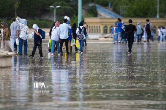 هشتمین روز از سی و ششمین نمایشگاه بین‌المللی کتاب همزمان با باران بهاری