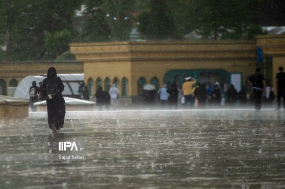 هشتمین روز از سی و ششمین نمایشگاه بین‌المللی کتاب همزمان با باران بهاری