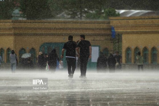 هشتمین روز از سی و ششمین نمایشگاه بین‌المللی کتاب همزمان با باران بهاری