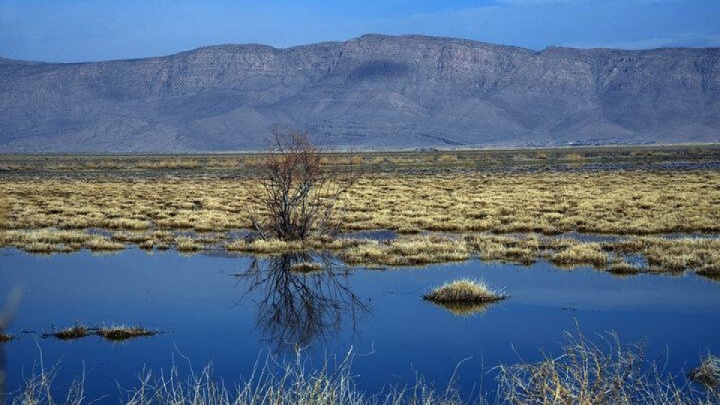 وضعیت بحرانی تالابهای فارس غمانگیز است