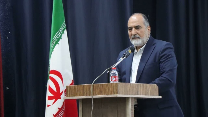 رونق سینمای محلی، گسترش سرمایه فرهنگی