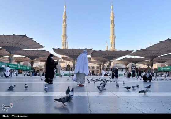 عکس: خبرگزاری تسنیم