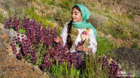 گزارش تصویری/ عصرانه بیست و نهمین روز اردیبهشت به روایت دوربین