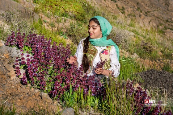 عکاس: کامران سامانی