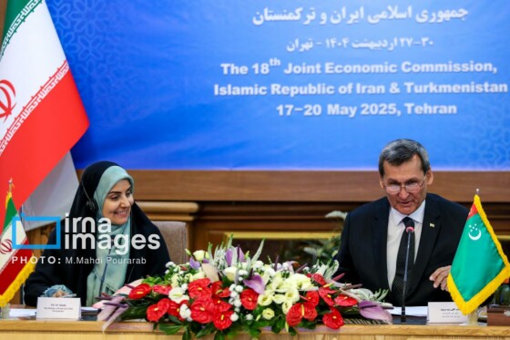 عکاس: محمدمهدی پورعرب