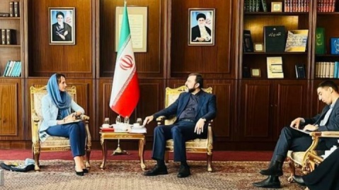 گزارشگر ویژه سازمان ملل با غریب‌آبادی دیدار کرد