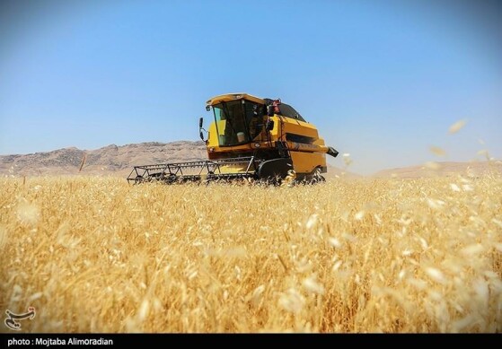 عکاس:  مجتبی علیمرادیان