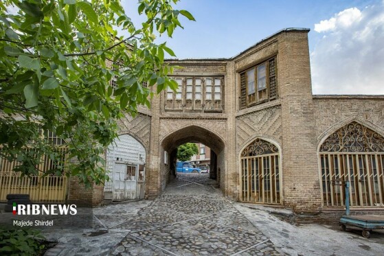 عکاس :ماجده شیردل