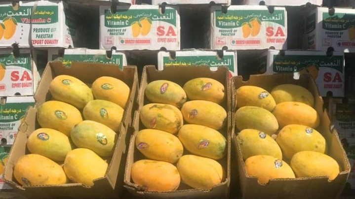واردات انبه دوباره آزاد شد