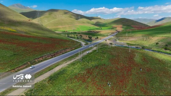 عکاس: بختیار صمدی