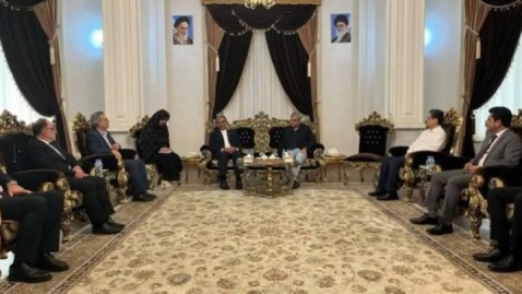 وزیر کشور پاکستان وارد مشهد شد