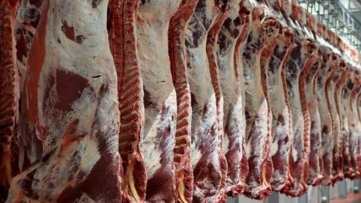 توزیع گوشت قرمز طبق روند روزانه در حال انجام است