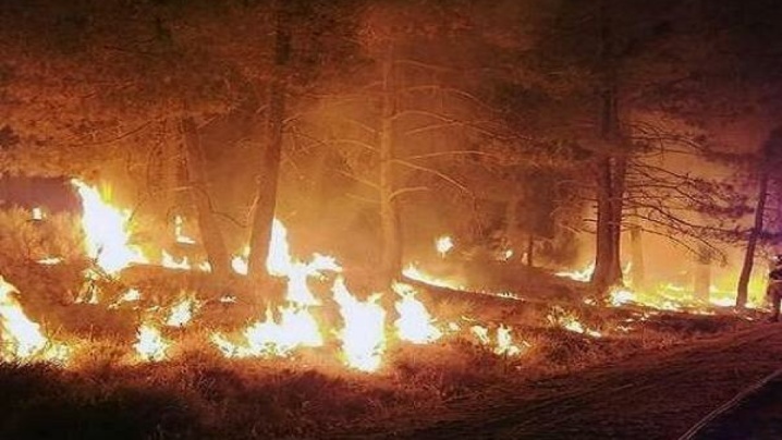 آتش به جان بلوطستانهای گبیرکوه ایلام افتاد