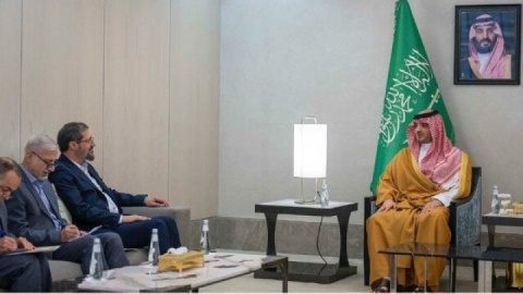 دیدار رئیس سازمان حج ایران با وزیر کشور عربستان