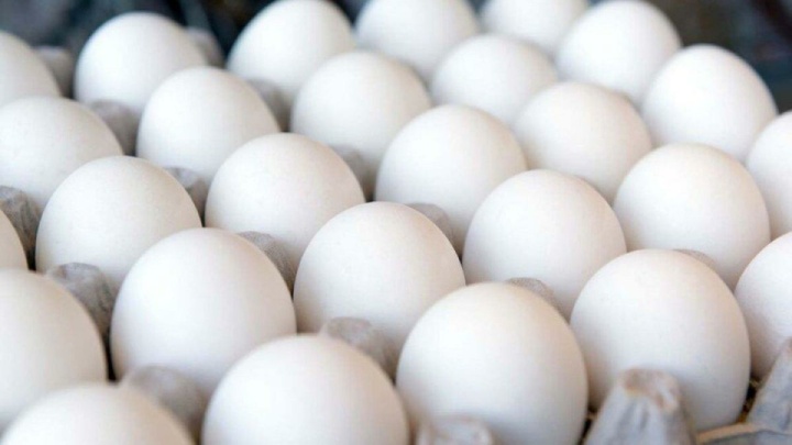متفورمین، تخمگذاری مرغها را افزایش میدهد