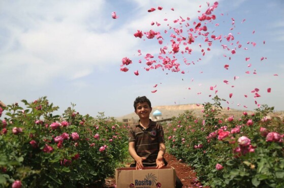 عکس: Anadolu/Getty Images