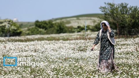 گزارش تصویری/ جنگل «فندقلو»
