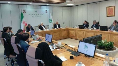 عارف: بنیاد مستضعفان رقیب دولت نیست