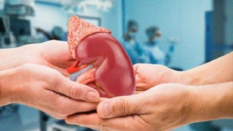 کودک مرگ مغزی به پنج بیمار حیاتی دوباره بخشید