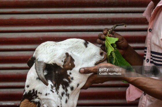 عکس از Sudipta Das/NurPhoto از طریق Getty Images