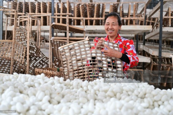 عکس از Zhang Guosheng/VCG از طریق Getty Images