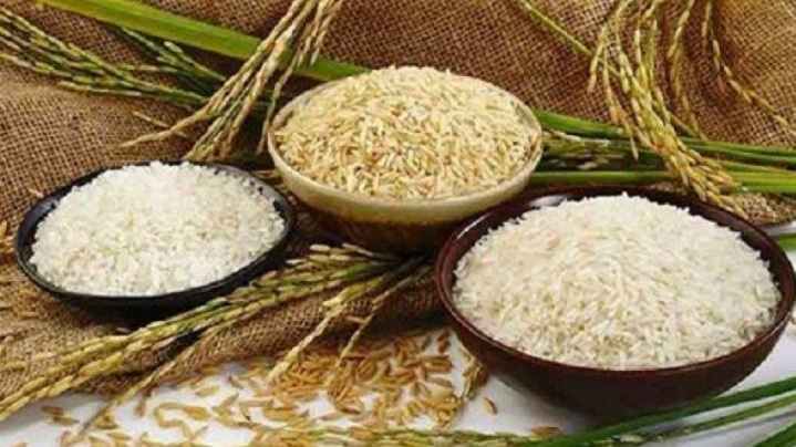 حذف واردات برنجهای با کیفیت برای صرفهجویی ارزی
