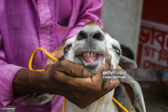 عکس از Sudipta Das/NurPhoto از طریق Getty Images