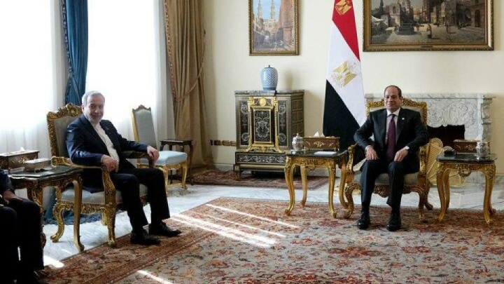 عراقچی با رئیس جمهور مصر دیدار کرد