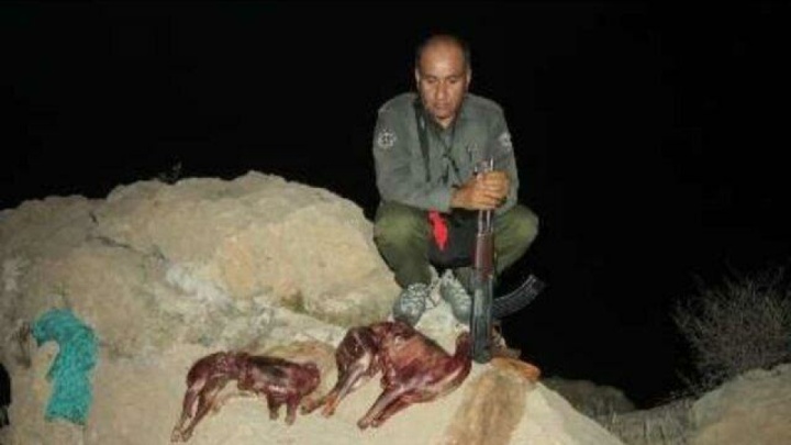 شهادت یک محیطبان در منطقه حفاظت شده خاییز
