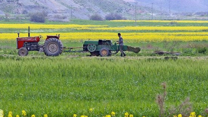 توسعه کشاورزی قراردادی در زنجیره تأمین سه محصول راهبردی