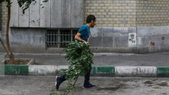 لزوم آمادهباش دستگاهها در پی باد شدید و رگبار تهران
