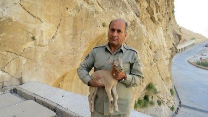 قاتل محیطبان «دیده بان» دستگیر شد