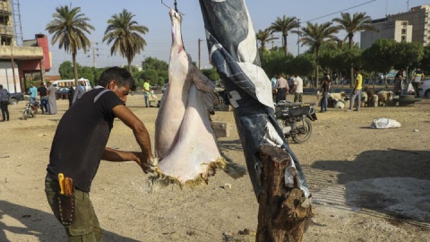 هشدار در خصوص ذبح غیر بهداشتی دام در عید قربان