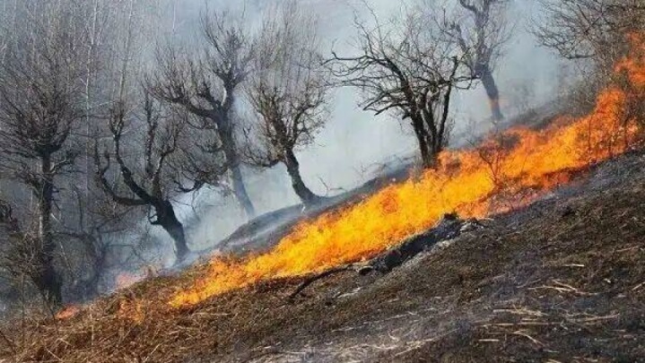 ۶ آتشسوزی جنگلی و مرتعی در غرب و جنوب کشور مهار شد