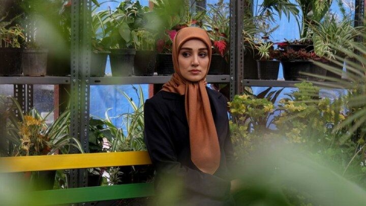 مشاهده «ناریا» از مرز ۶.۵ میلیون عبور کرد