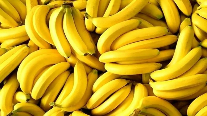 ۱۶ میلیارد تومان جریمه برای قاچاق موز