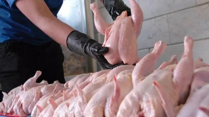 قیمت گوشت مرغ، امروز ۱۸ خرداد ۱۴۰۴