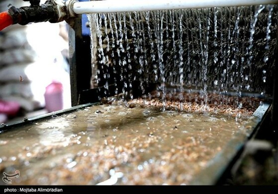 عکاس: مجتبی علیمرادیان